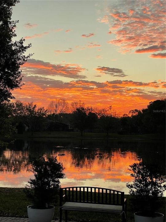 Под контрактом: $595,000 (4 спален, 3 ванн, 2638 Квадратных фут)