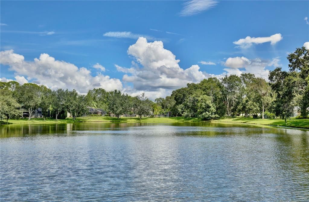 Под контрактом: $595,000 (4 спален, 3 ванн, 2638 Квадратных фут)