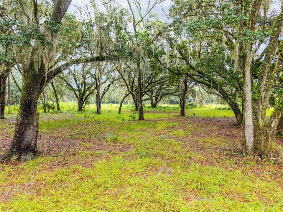 合同活跃: $311,400 (15.57 acres)