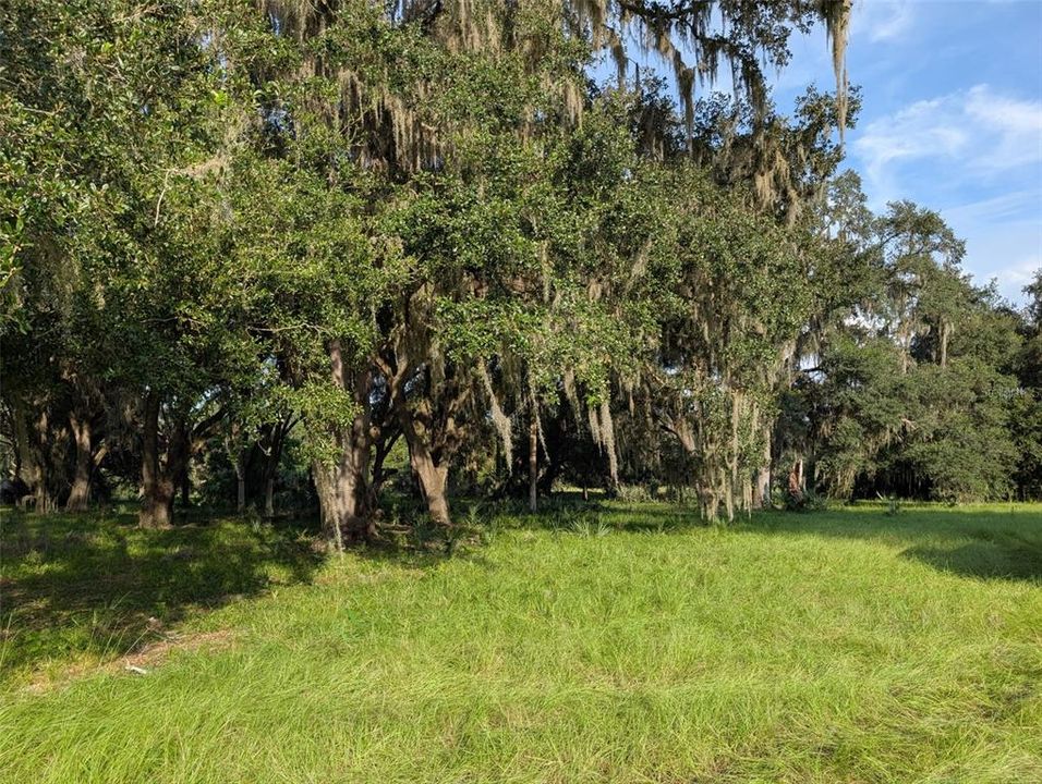 合同活跃: $311,400 (15.57 acres)