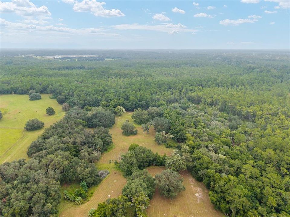 合同活跃: $311,400 (15.57 acres)