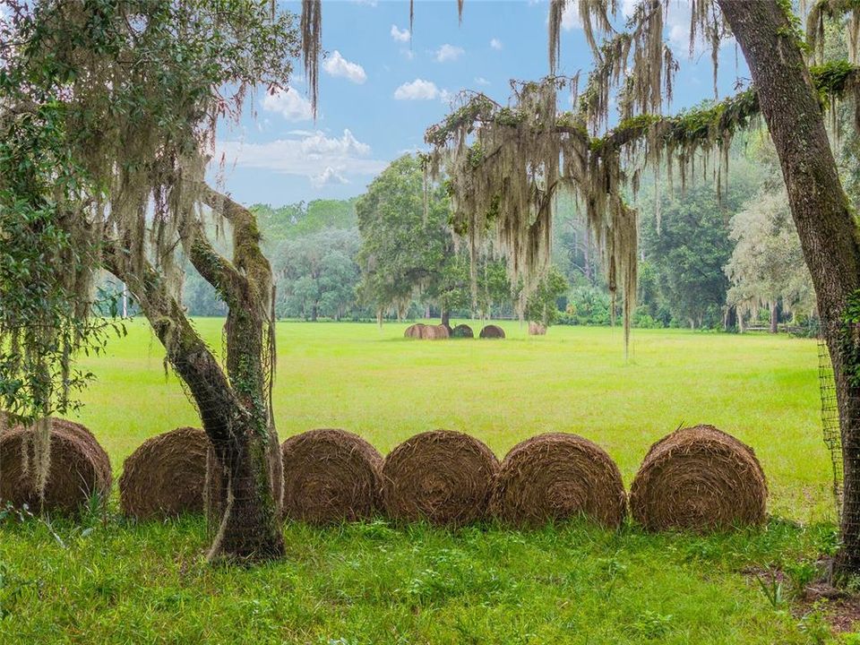 合同活跃: $311,400 (15.57 acres)