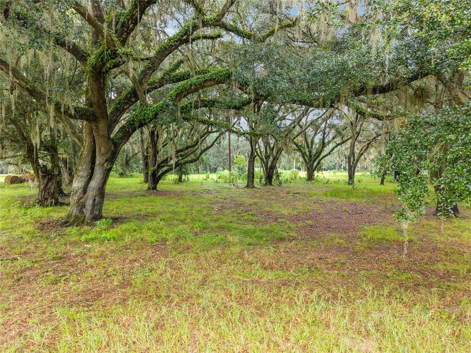 合同活跃: $311,400 (15.57 acres)