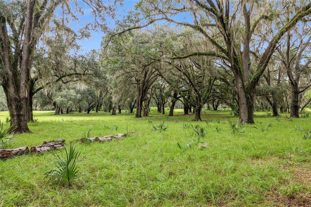 合同活跃: $311,400 (15.57 acres)