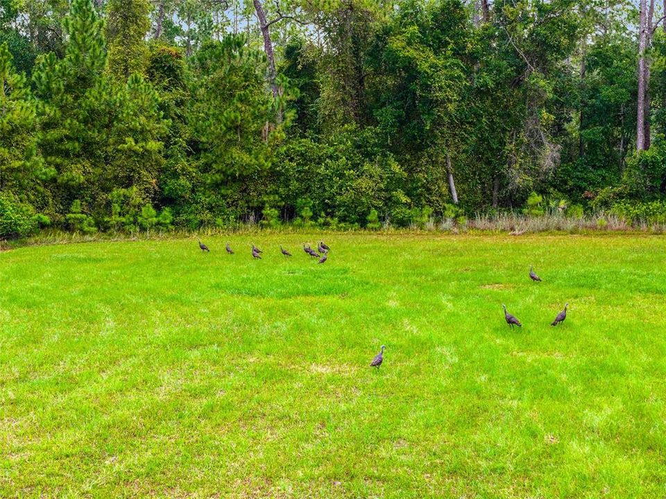 合同活跃: $311,400 (15.57 acres)