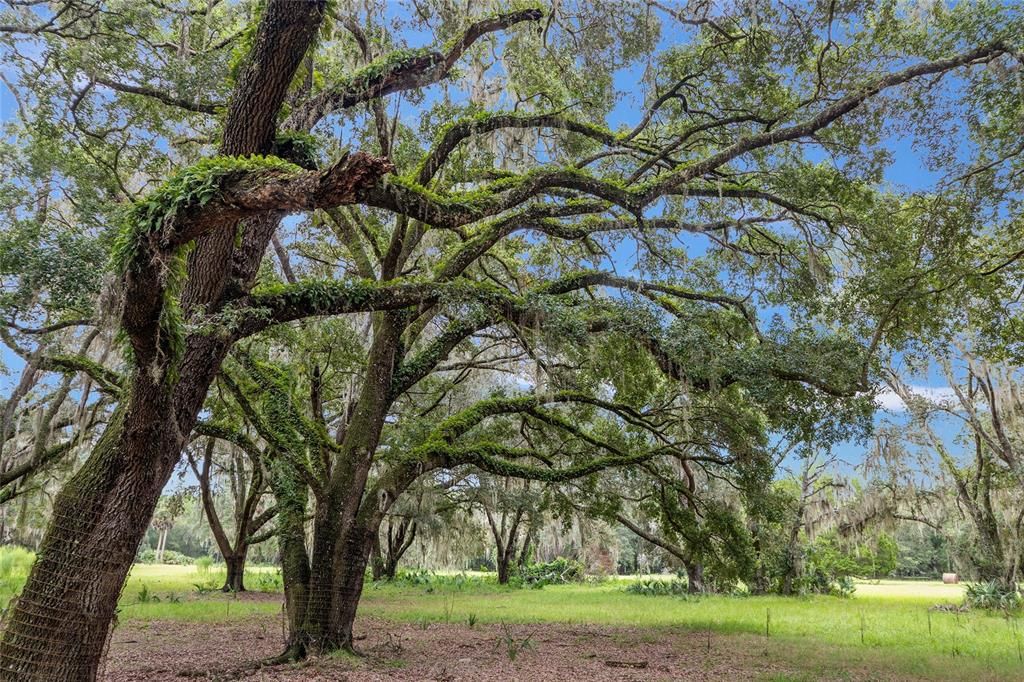 合同活跃: $311,400 (15.57 acres)