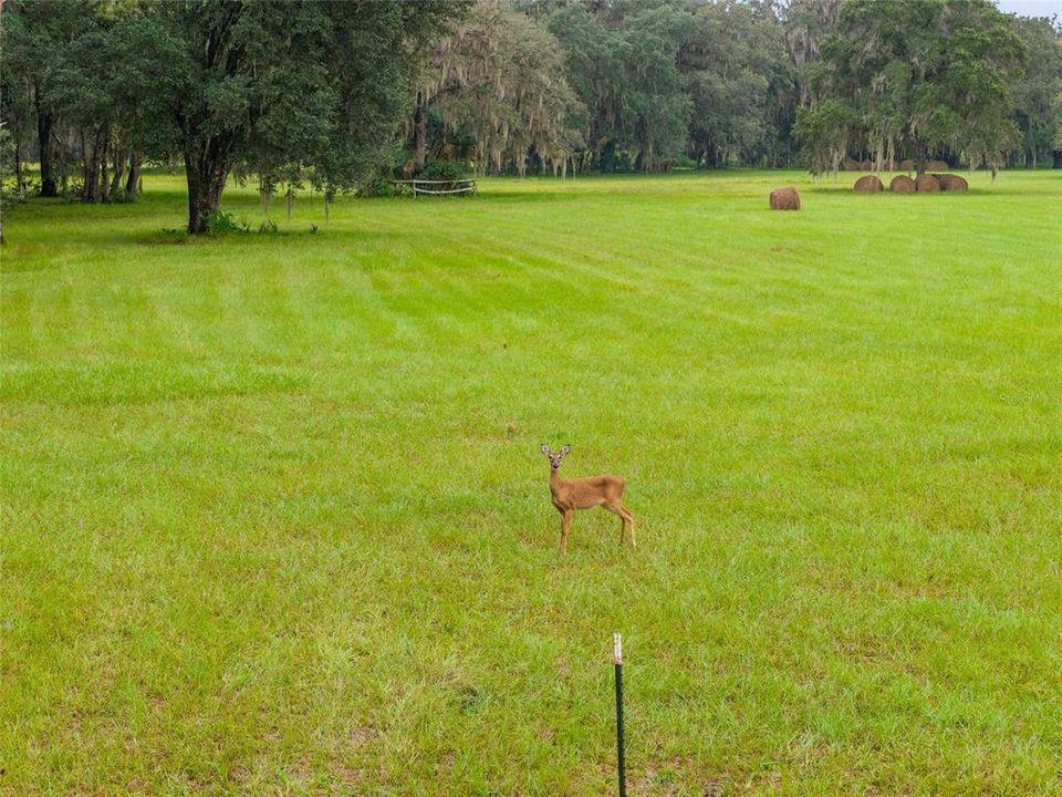 合同活跃: $311,400 (15.57 acres)