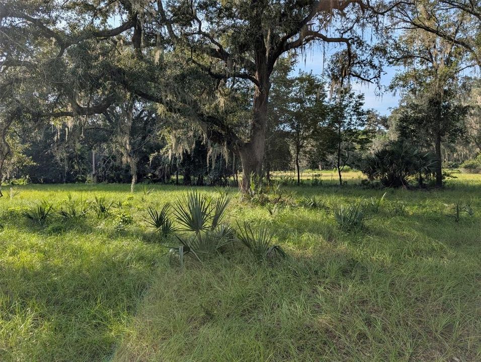 合同活跃: $311,400 (15.57 acres)