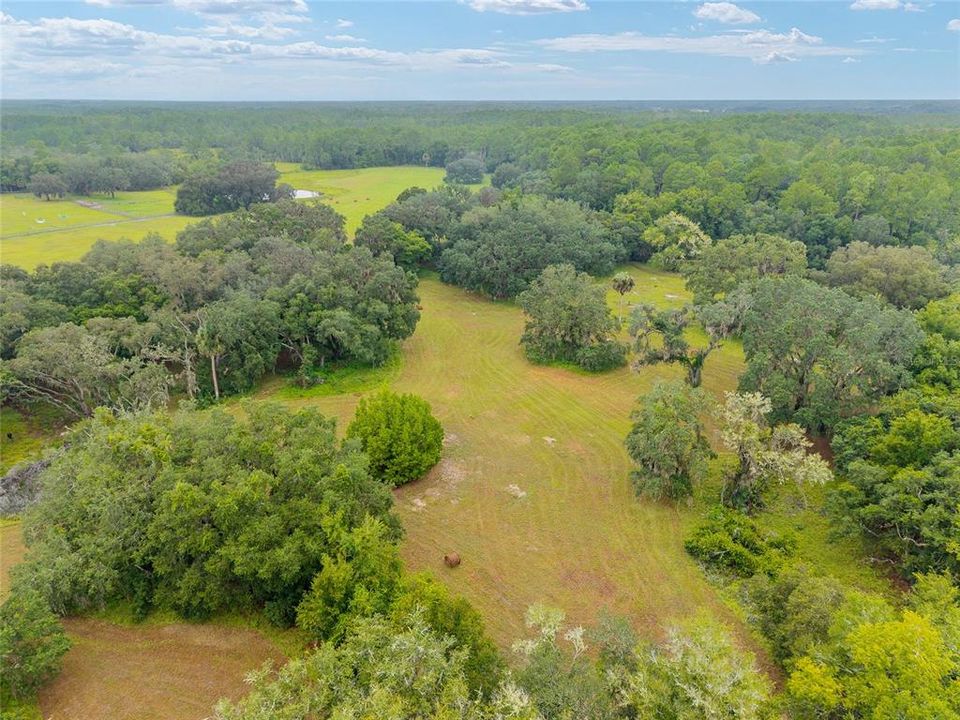 合同活跃: $311,400 (15.57 acres)