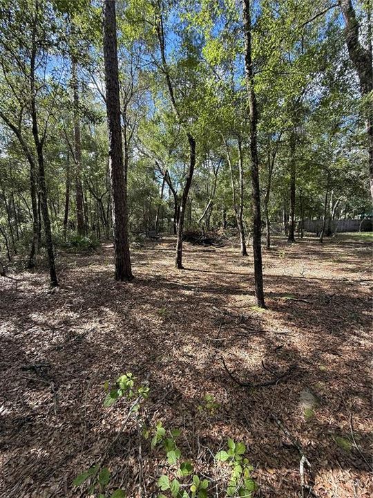 For Sale: $85,000 (2 beds, 1 baths, 450 Square Feet)