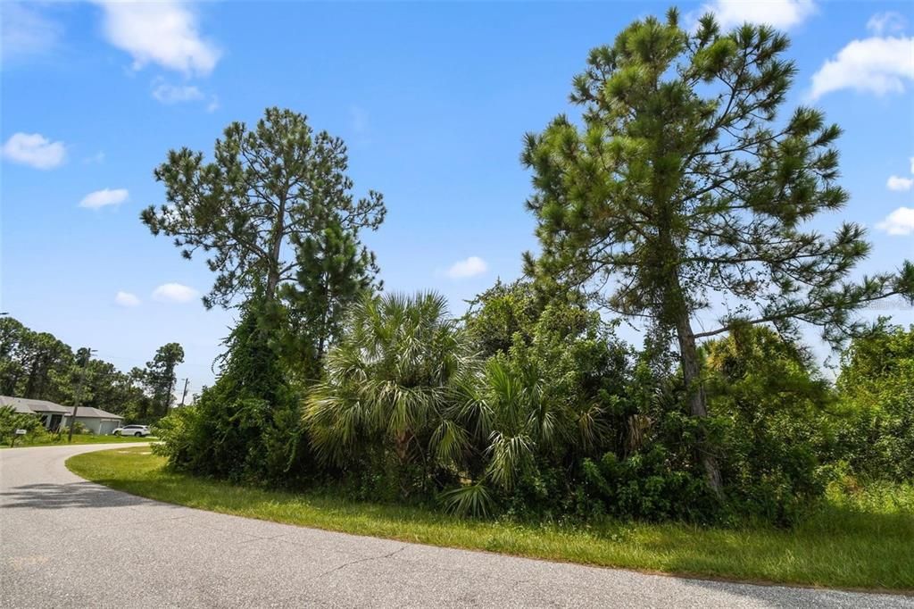 For Sale: $30,000 (0.23 acres)