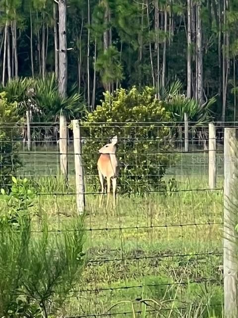 На продажу: $390,000 (10.19 acres)