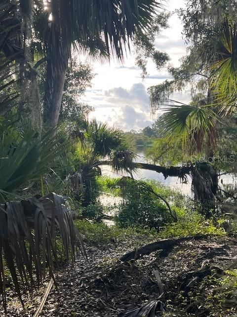 На продажу: $390,000 (10.19 acres)