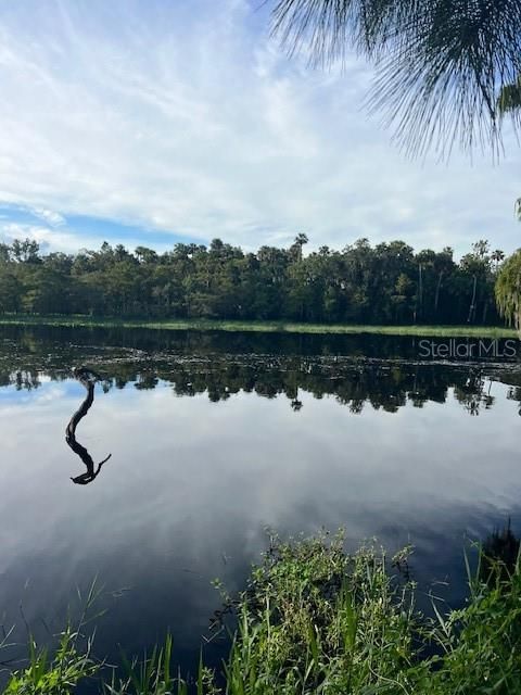 На продажу: $390,000 (10.19 acres)