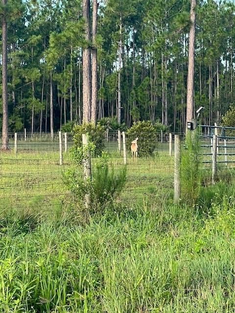 На продажу: $390,000 (10.19 acres)