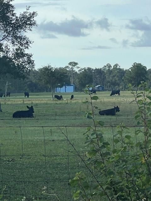 На продажу: $390,000 (10.19 acres)