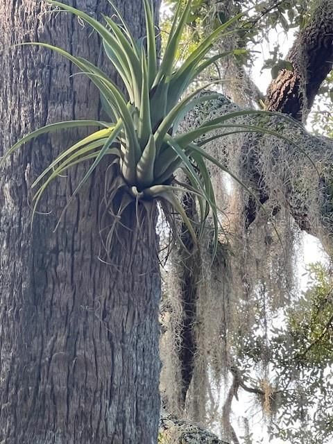 На продажу: $390,000 (10.19 acres)