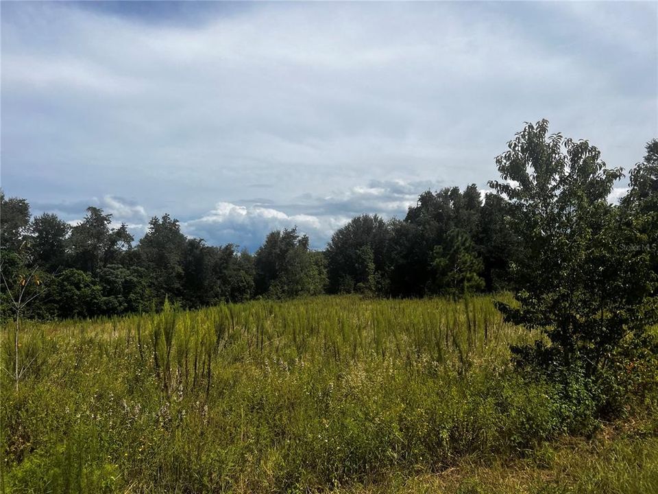 For Sale: $699,000 (10.00 acres)