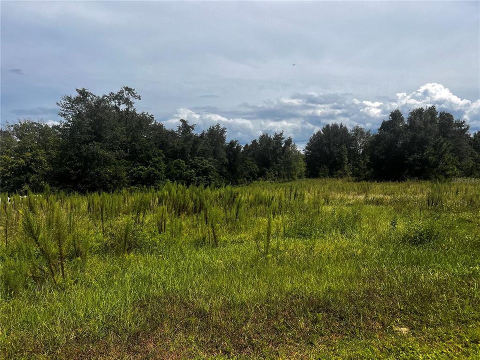 For Sale: $699,000 (10.00 acres)