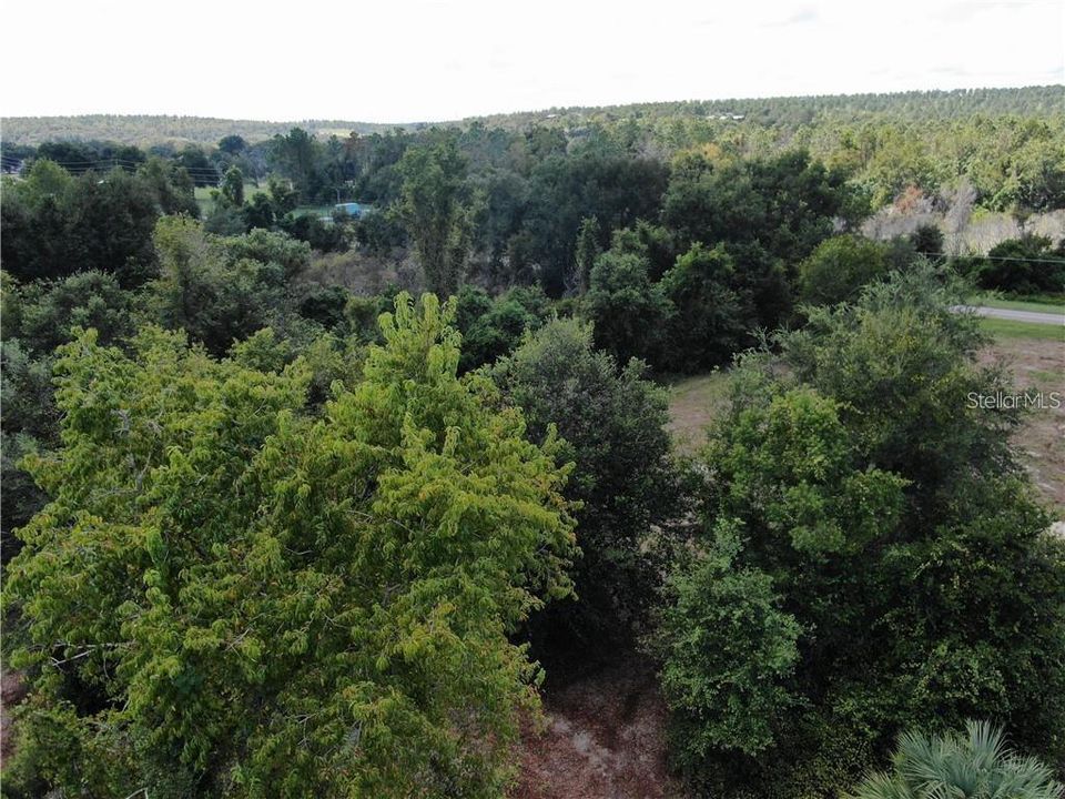 For Sale: $699,000 (10.00 acres)