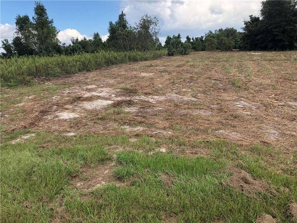 For Sale: $699,000 (10.00 acres)