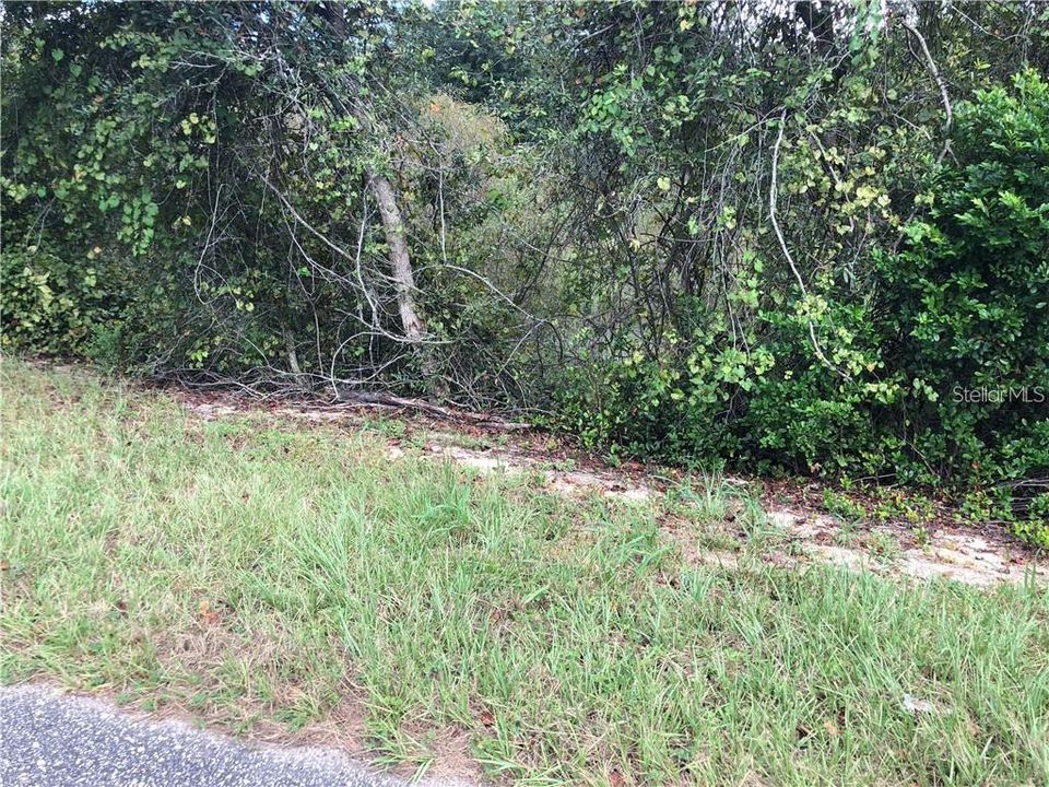 For Sale: $699,000 (10.00 acres)