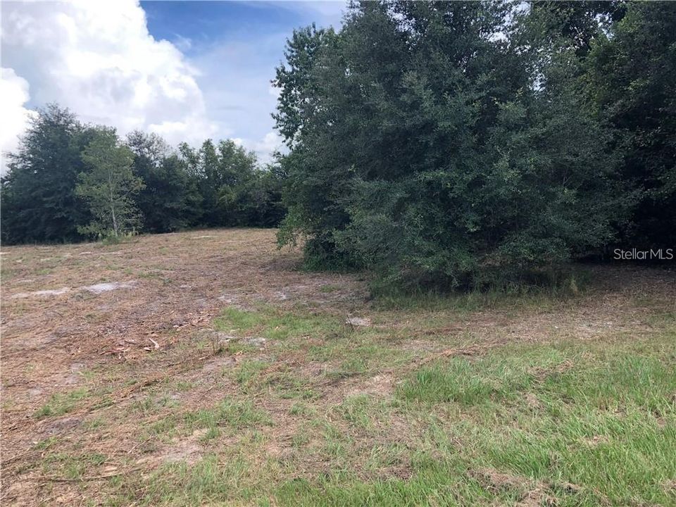 For Sale: $699,000 (10.00 acres)