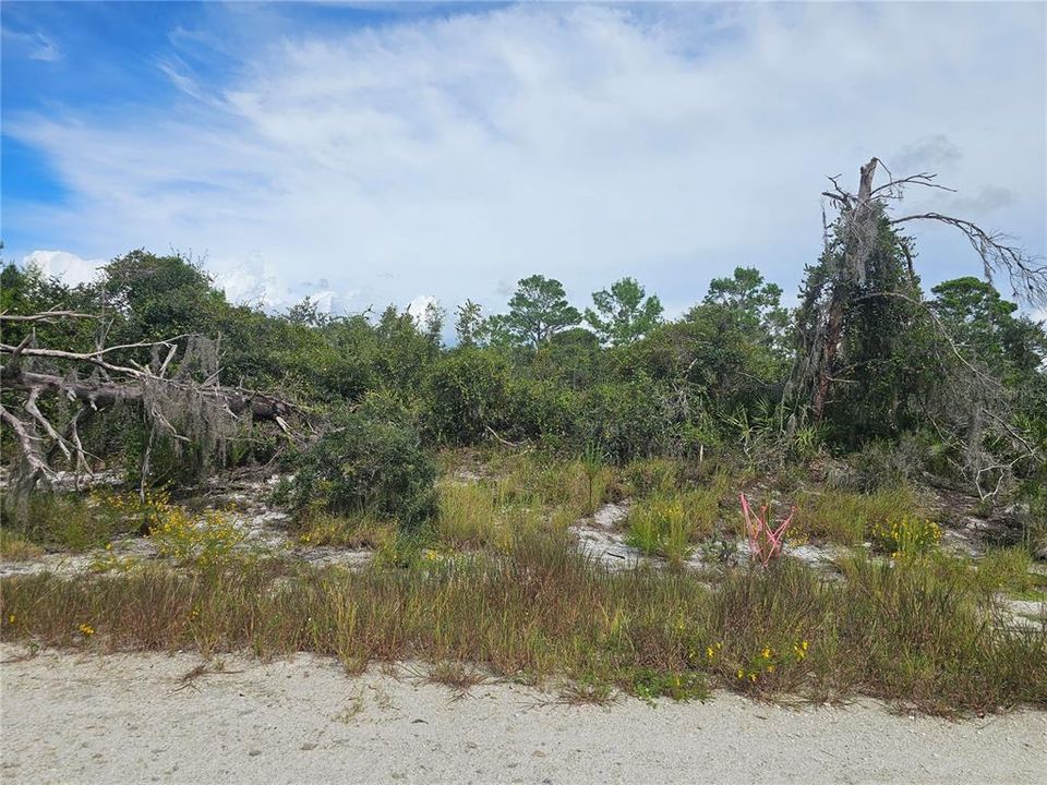 На продажу: $8,800 (0.26 acres)