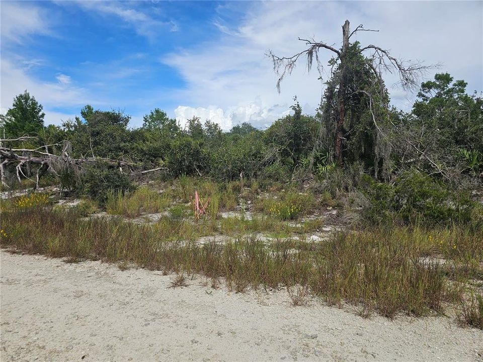 На продажу: $8,800 (0.26 acres)