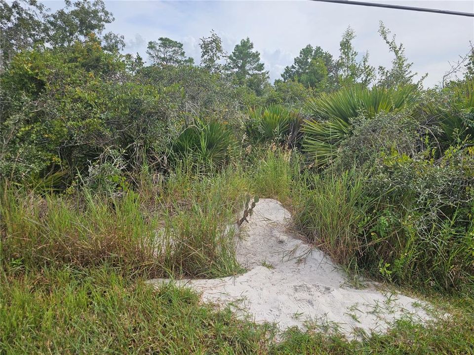 待售: $10,000 (0.26 acres)