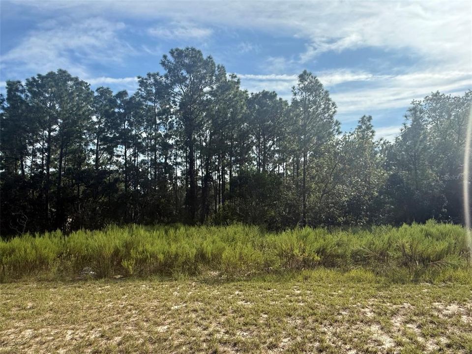 For Sale: $34,900 (0.37 acres)