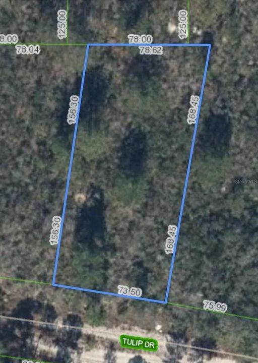For Sale: $12,000 (0.32 acres)