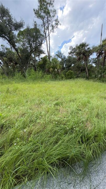 For Rent: $1,600 (3 beds, 2 baths, 1162 Square Feet)