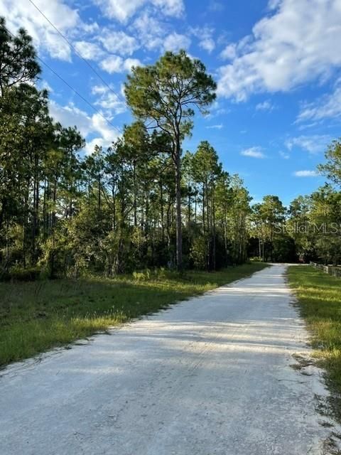 待售: $28,000 (1.25 acres)