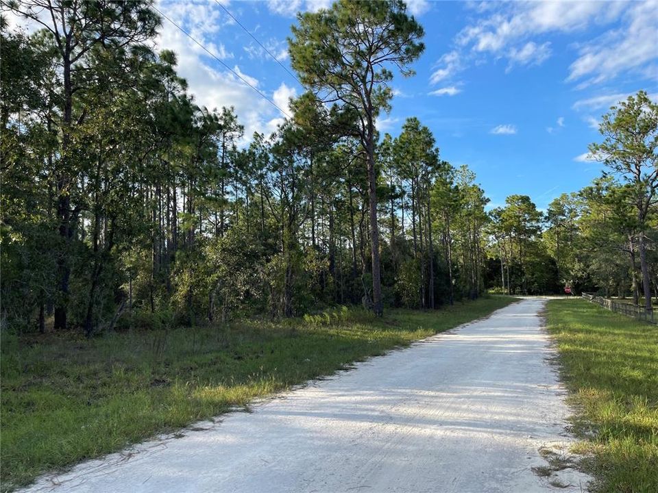 待售: $28,000 (1.25 acres)