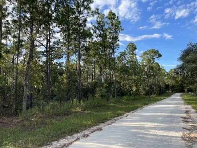 На продажу: $28,000 (1.25 acres)