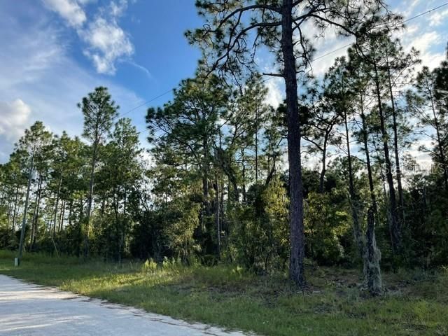 На продажу: $28,000 (1.25 acres)