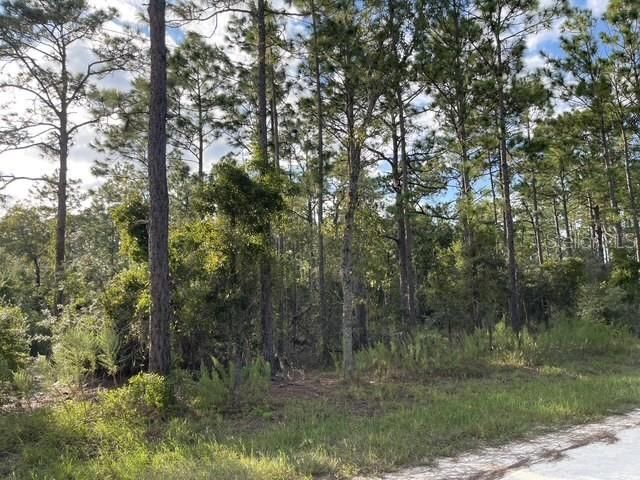 На продажу: $28,000 (1.25 acres)