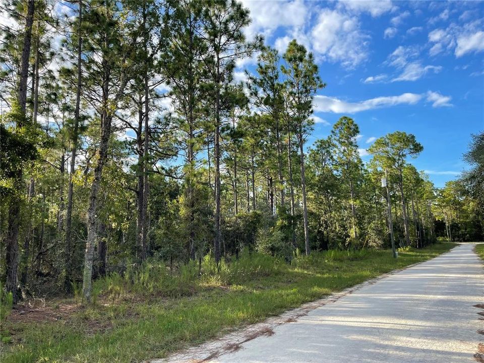 На продажу: $28,000 (1.25 acres)