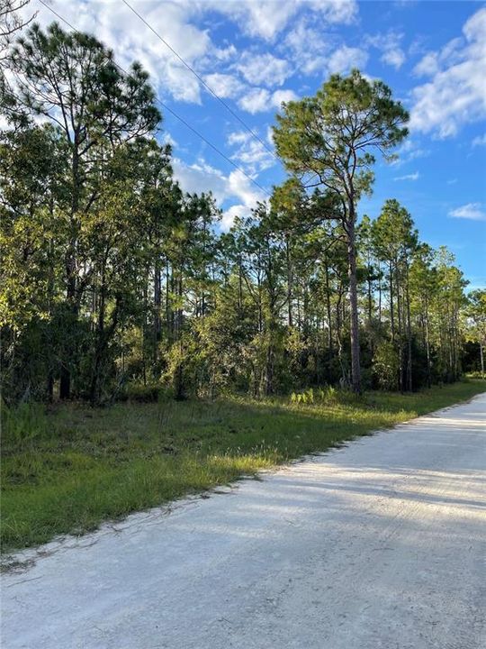 На продажу: $28,000 (1.25 acres)