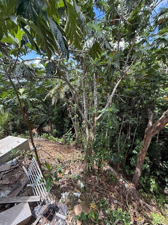 На продажу: $249,000 (4 спален, 2 ванн, 1199 Квадратных фут)