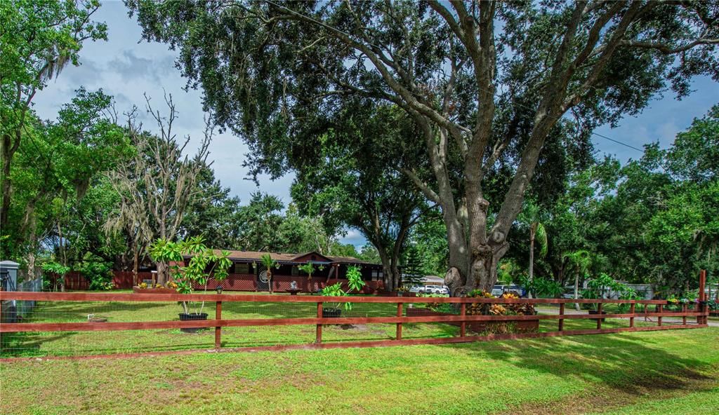 Active With Contract: $349,900 (3 beds, 2 baths, 1560 Square Feet)