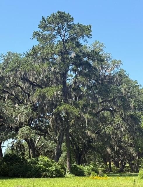 Recently Sold: $30,000 (0.23 acres)