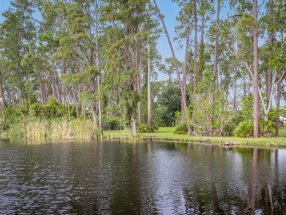 Active With Contract: $290,000 (3 beds, 2 baths, 1424 Square Feet)