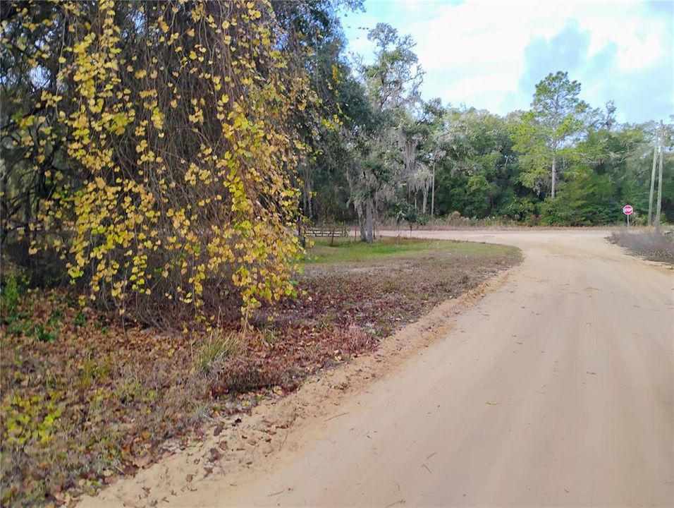 待售: $11,999 (0.59 acres)