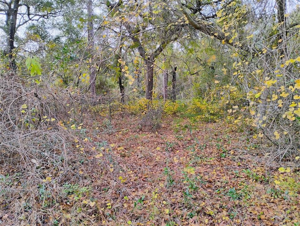 待售: $11,999 (0.59 acres)