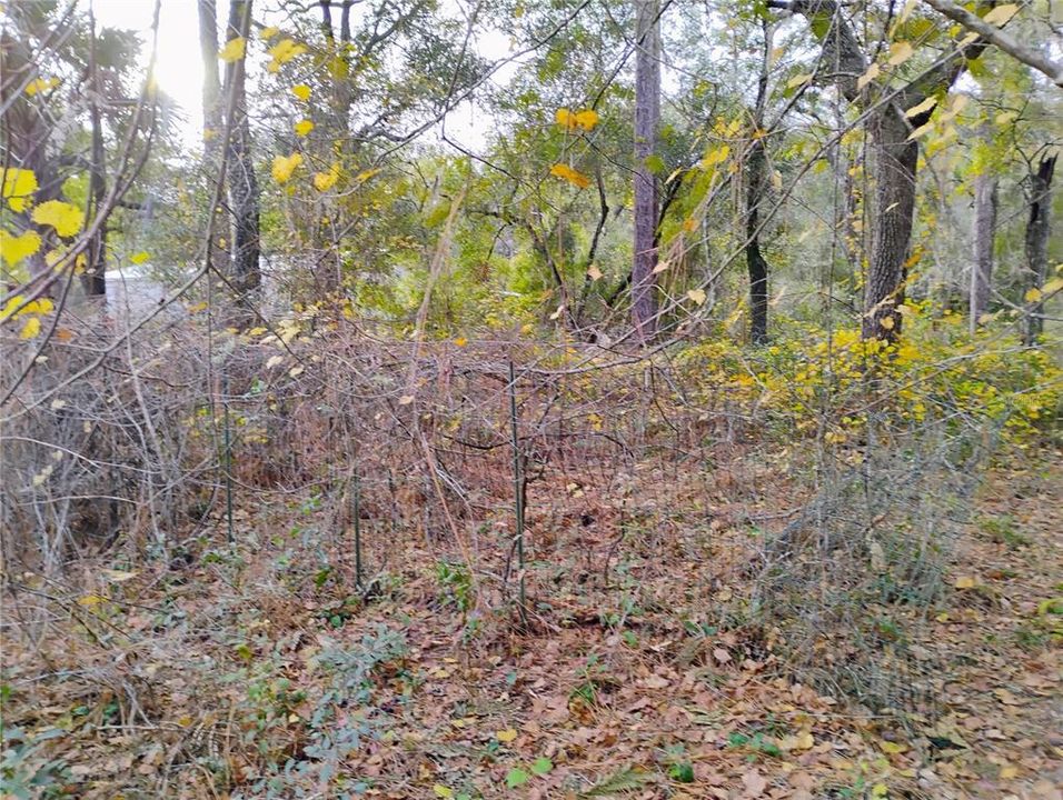 待售: $11,999 (0.59 acres)