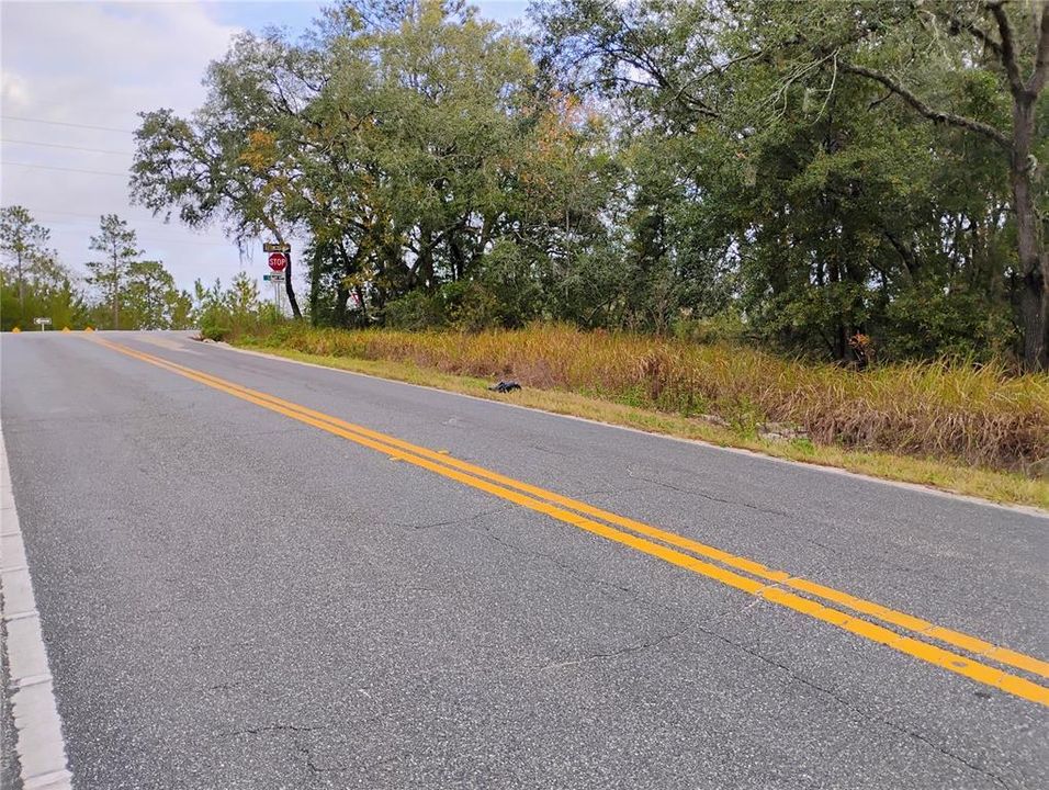 For Sale: $50,999 (2.58 acres)