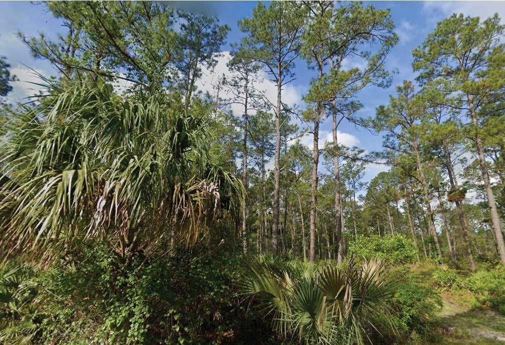 待售: $20,000 (1.26 acres)