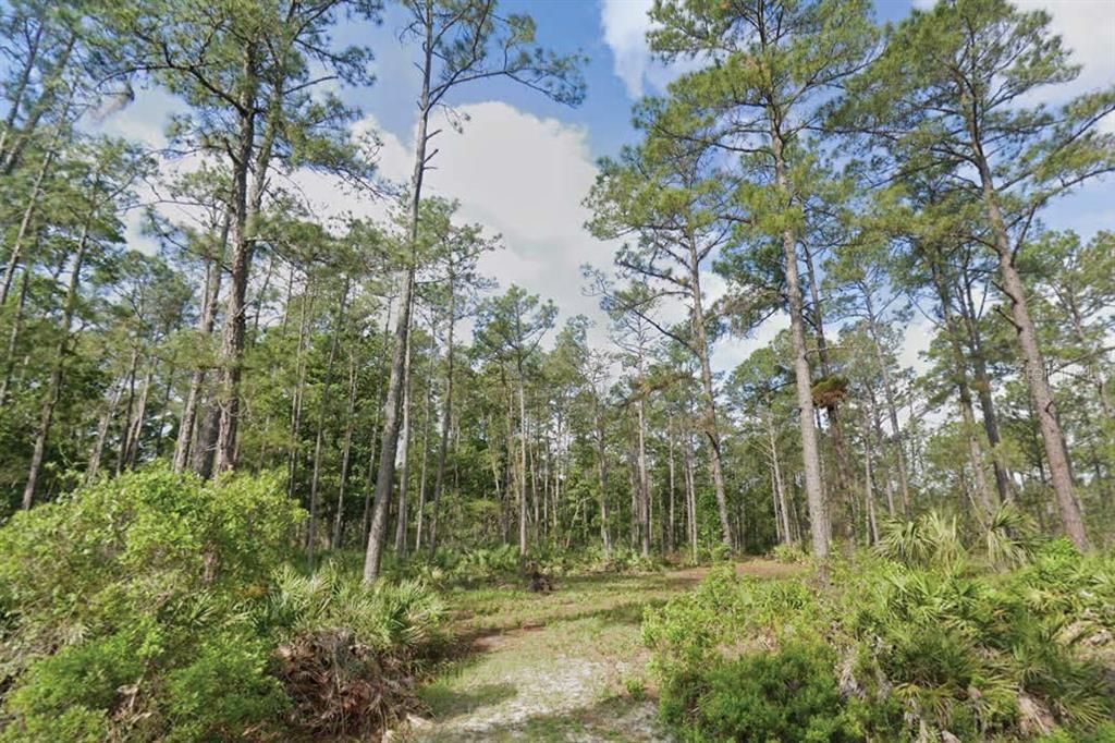 待售: $20,000 (1.26 acres)